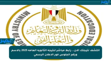 اكتشف نتيجتك الآن.. رابط مباشر لنتيجة الثانوية العامة 2025 بالاسم ورقم الجلوس فور الإعلان الرسمي